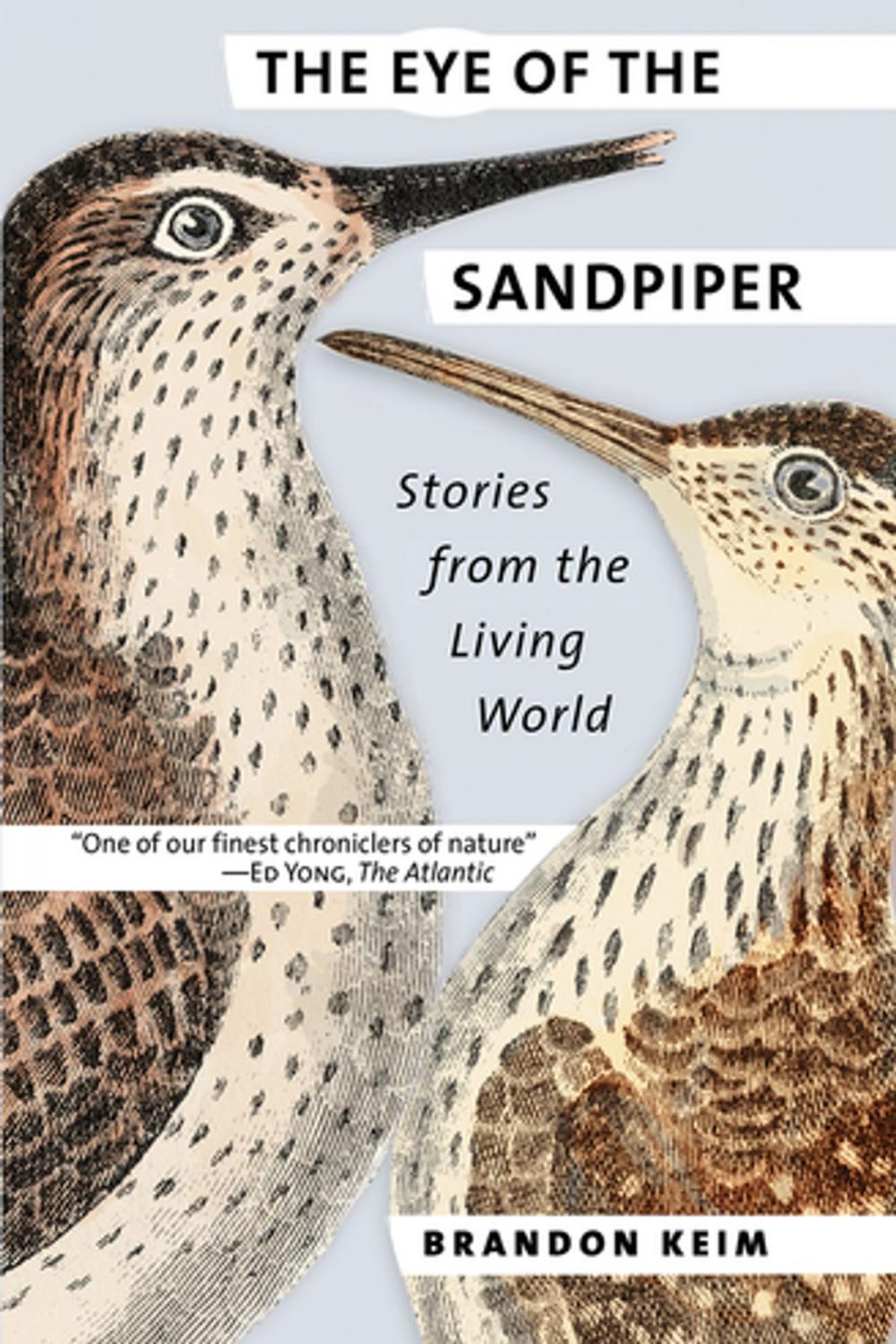 Big bigCover of The Eye of the Sandpiper