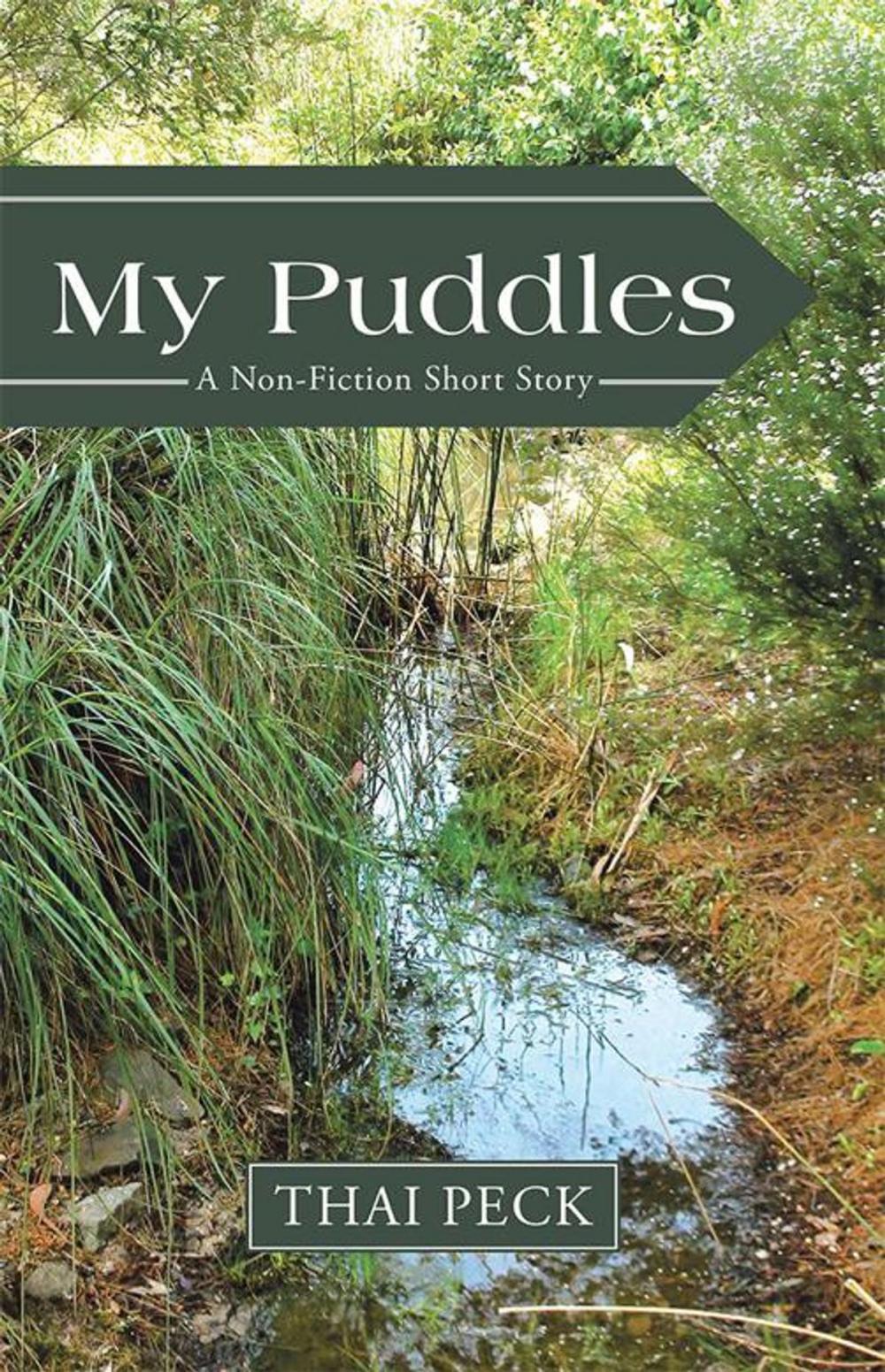 Big bigCover of My Puddles