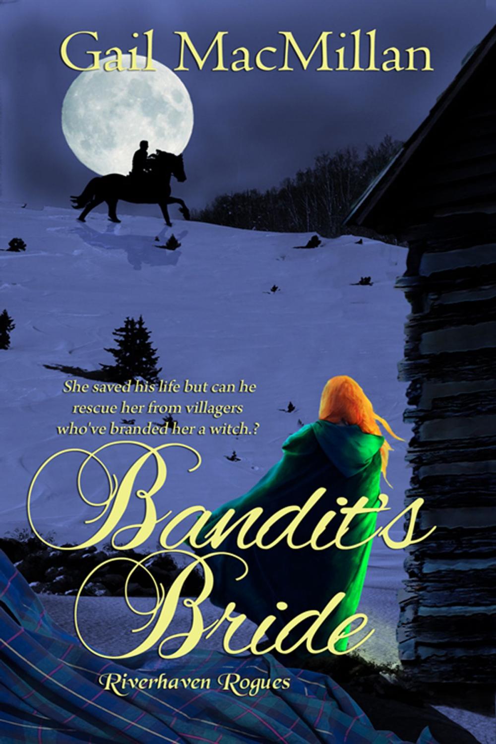 Big bigCover of Bandit's Bride