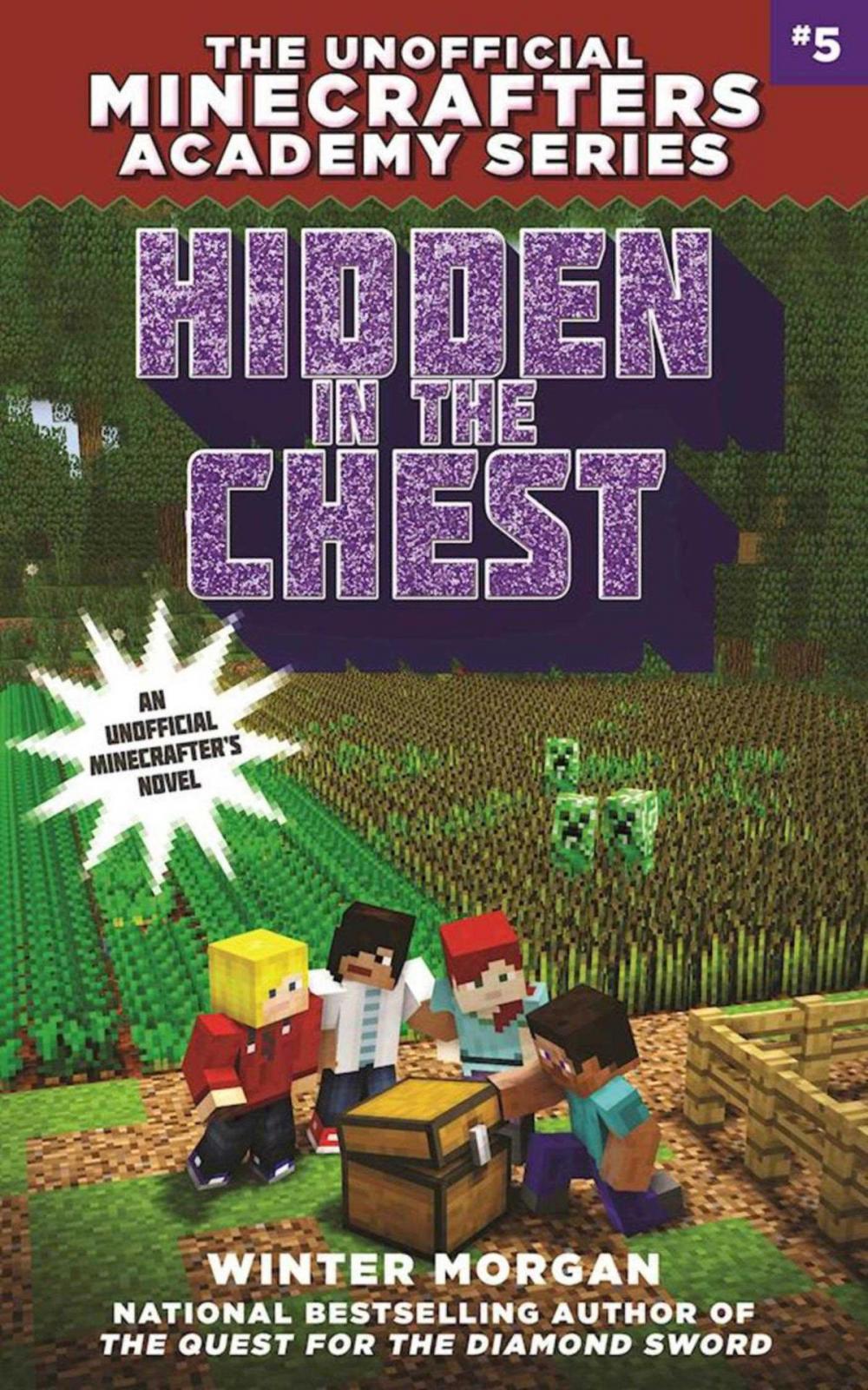 Big bigCover of Hidden in the Chest