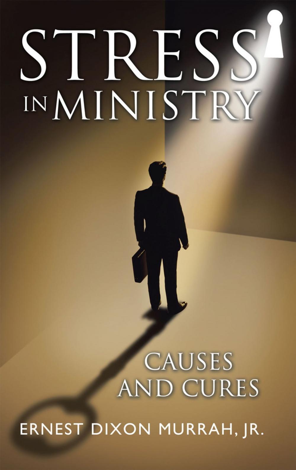 Big bigCover of Stress in Ministry