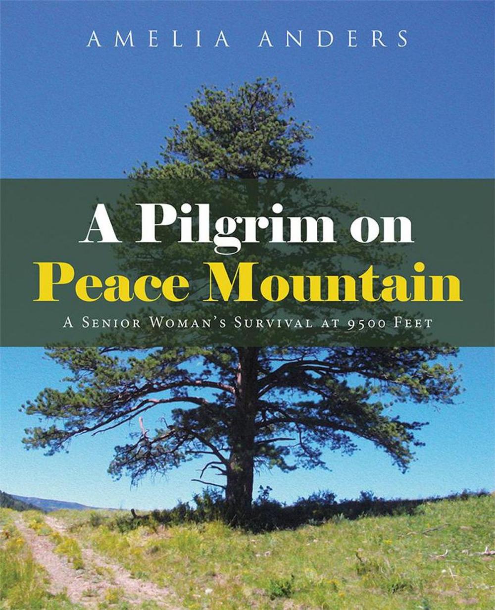 Big bigCover of A Pilgrim on Peace Mountain