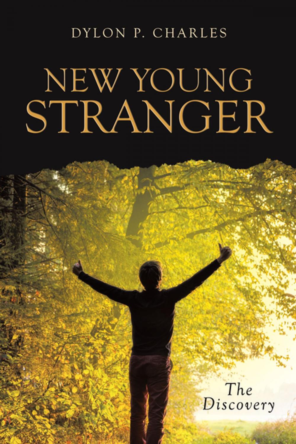 Big bigCover of New Young Stranger