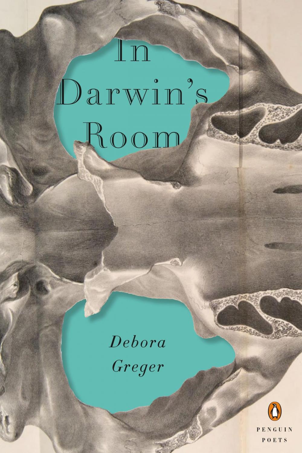 Big bigCover of In Darwin's Room