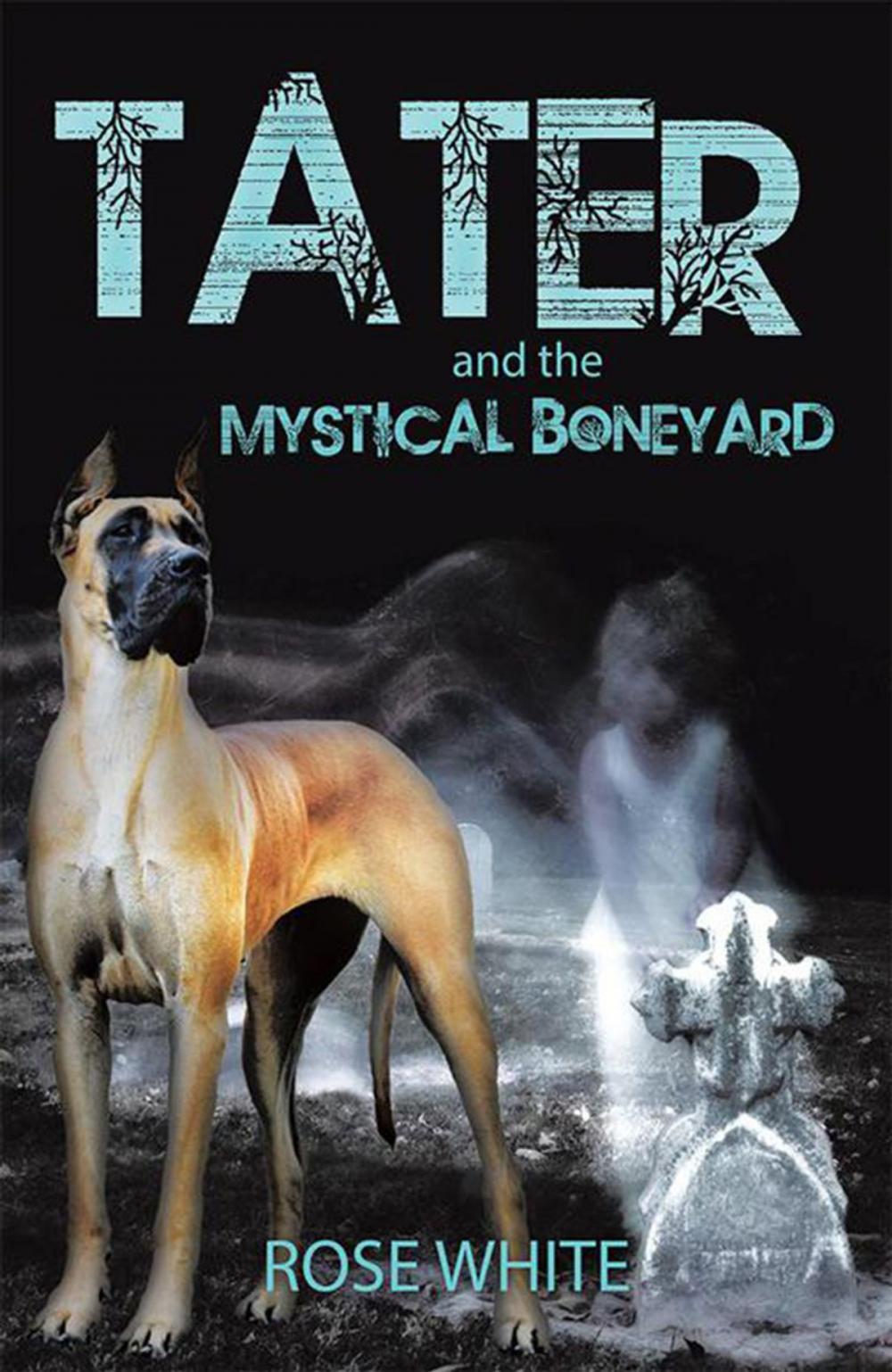 Big bigCover of Tater and the Mystical Boneyard