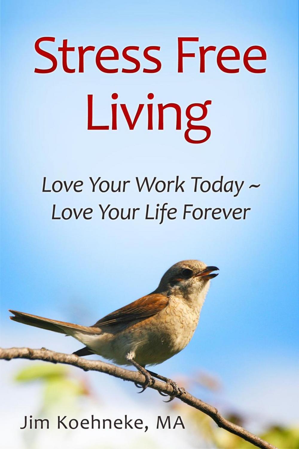 Big bigCover of Stress Free Living - Love Your Work Today ~ Love Your Life Forever!