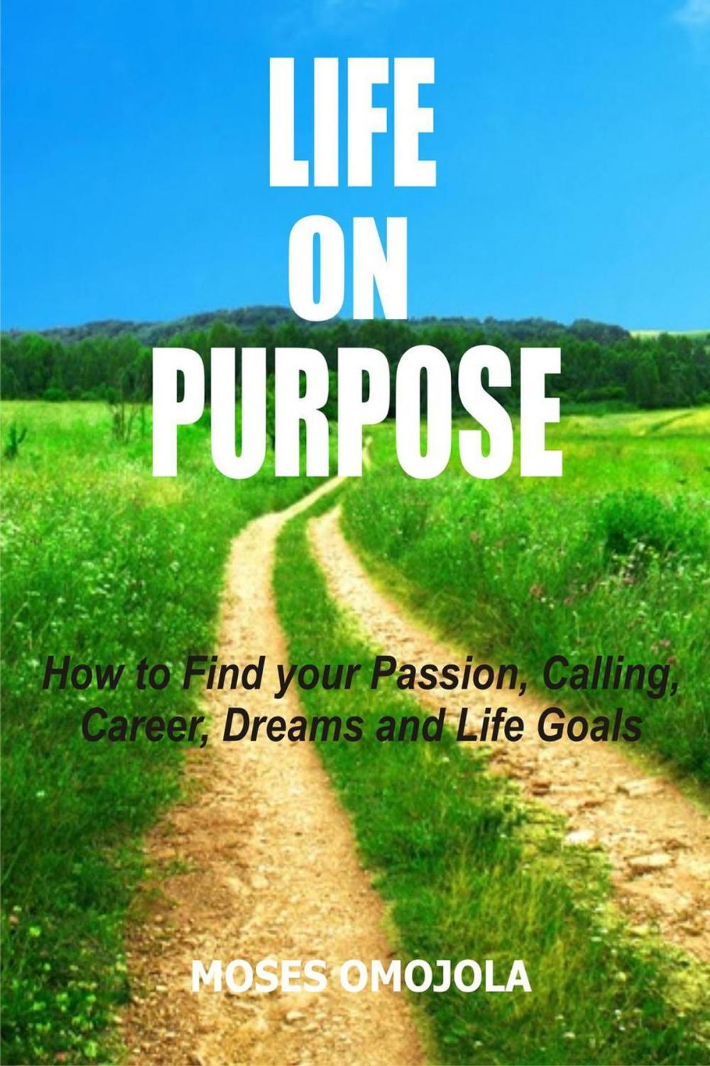 Big bigCover of Life On Purpose: How To Find Your Passion, Calling, Career, Dreams And Life Goals