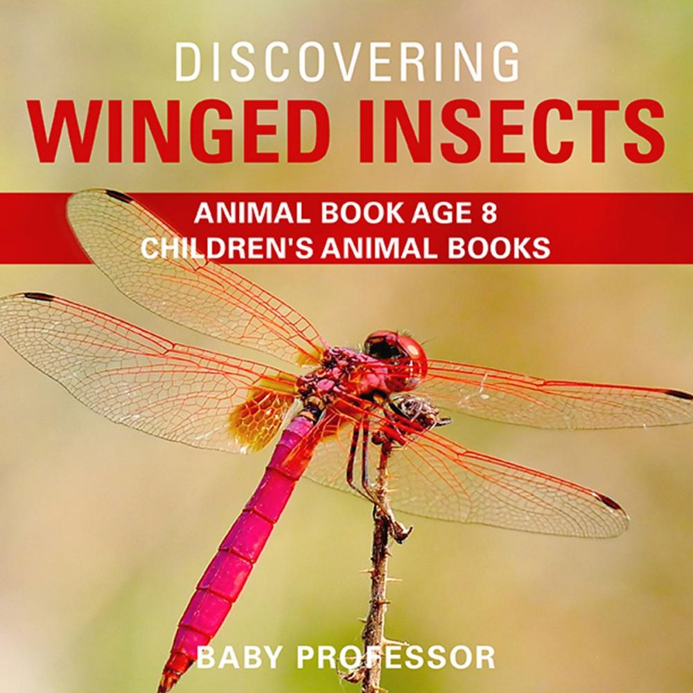 Big bigCover of Discovering Winged Insects - Animal Book Age 8 | Children's Animal Books