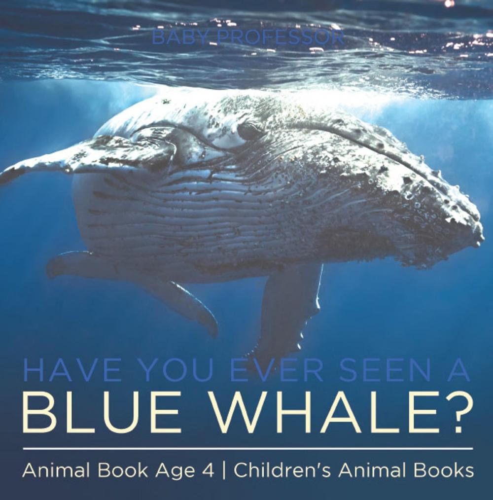 Big bigCover of Have You Ever Seen A Blue Whale? Animal Book Age 4 | Children's Animal Books