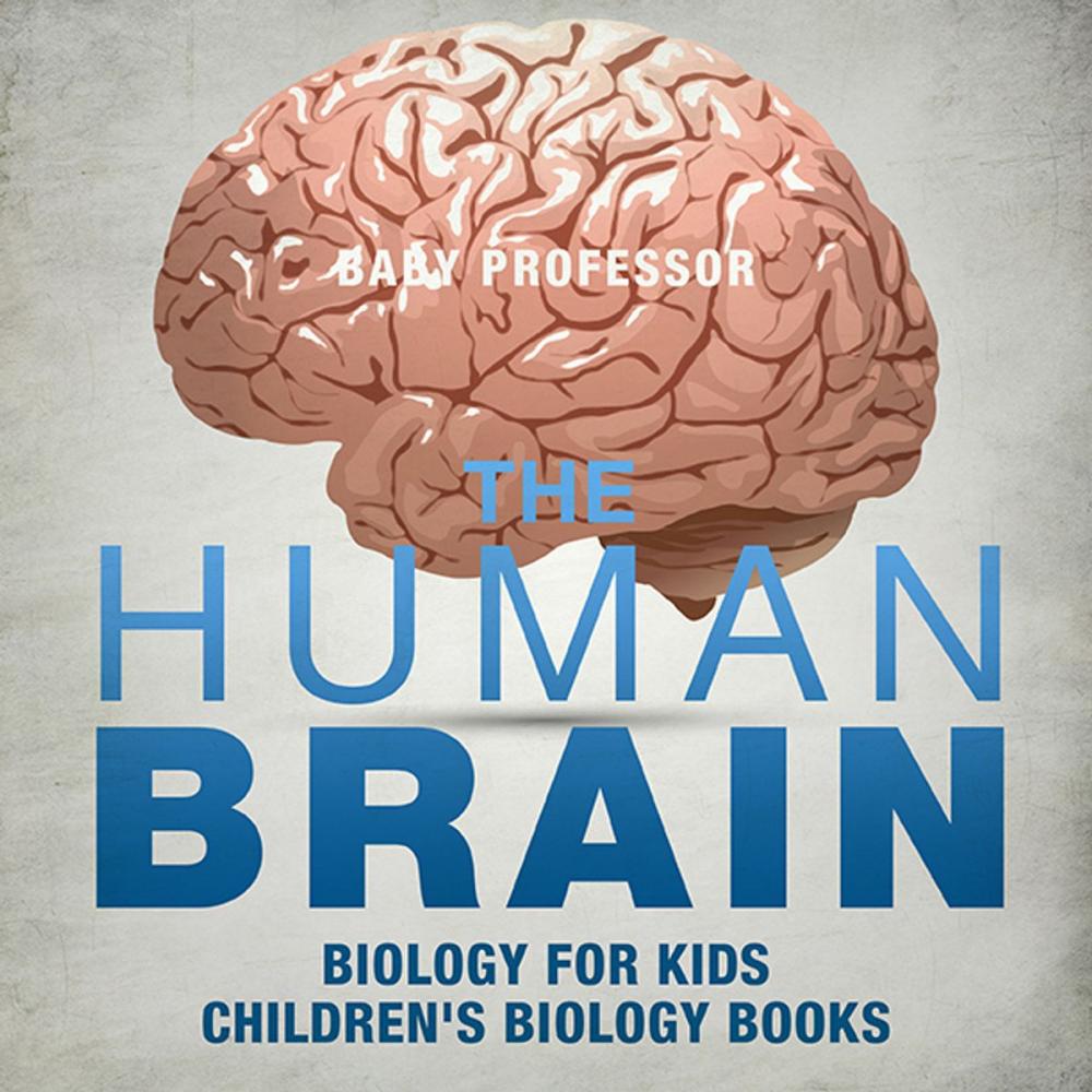 Big bigCover of The Human Brain - Biology for Kids | Children's Biology Books