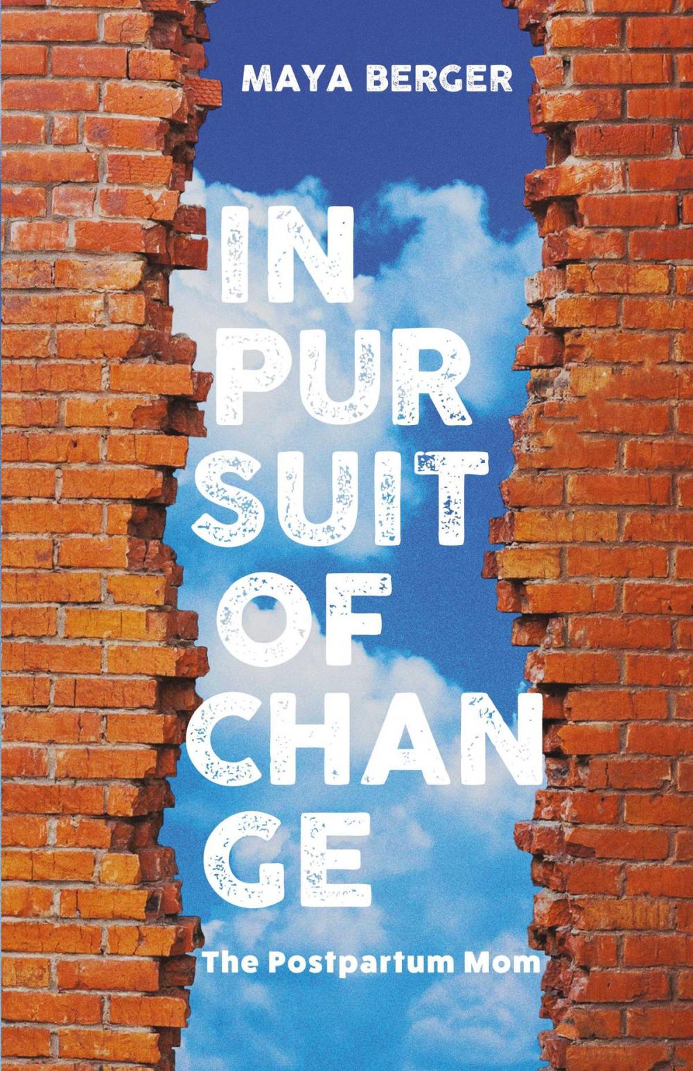 Big bigCover of In Pursuit of Change