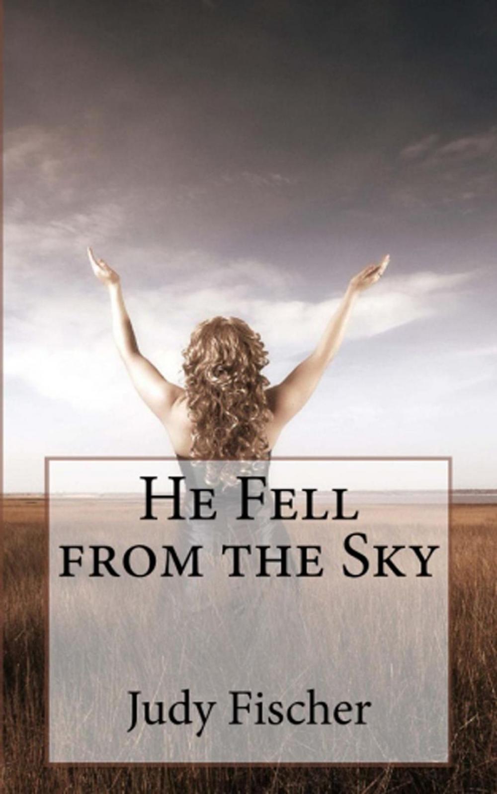 Big bigCover of He Fell from the Sky