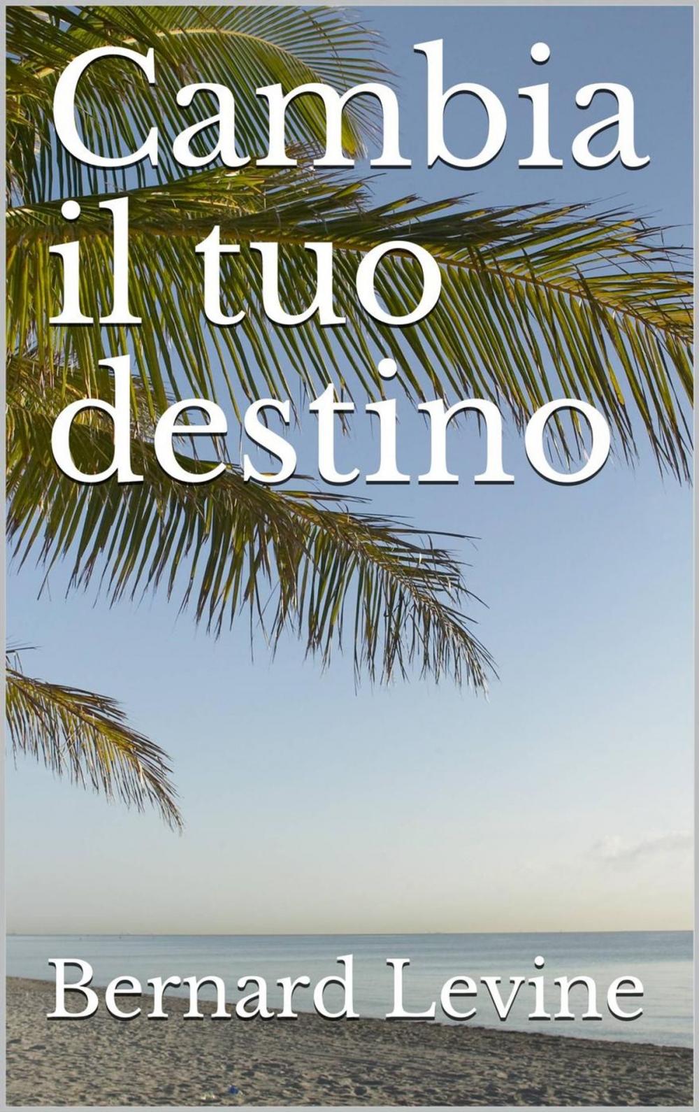 Big bigCover of Cambia il tuo destino