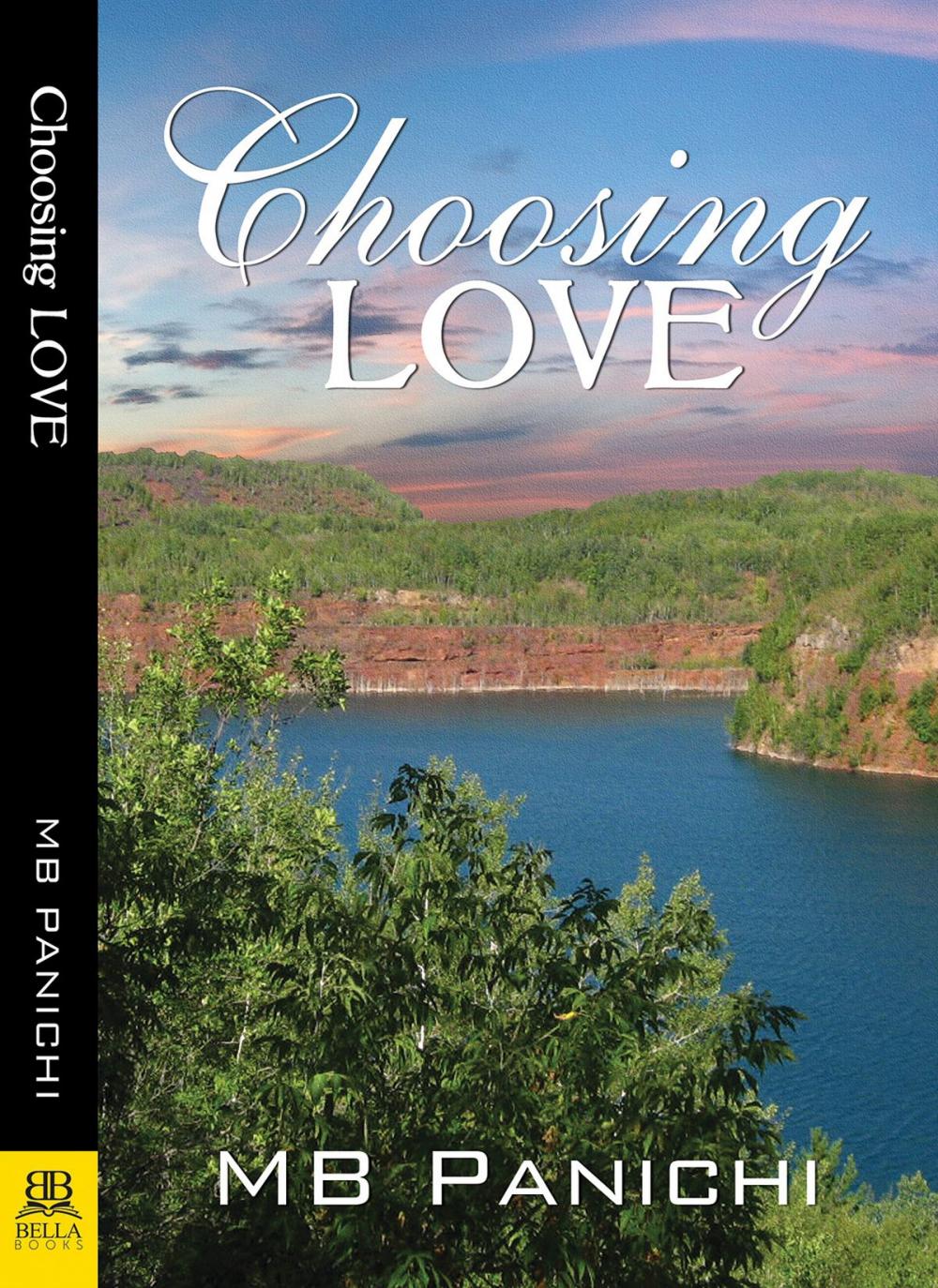 Big bigCover of Choosing Love