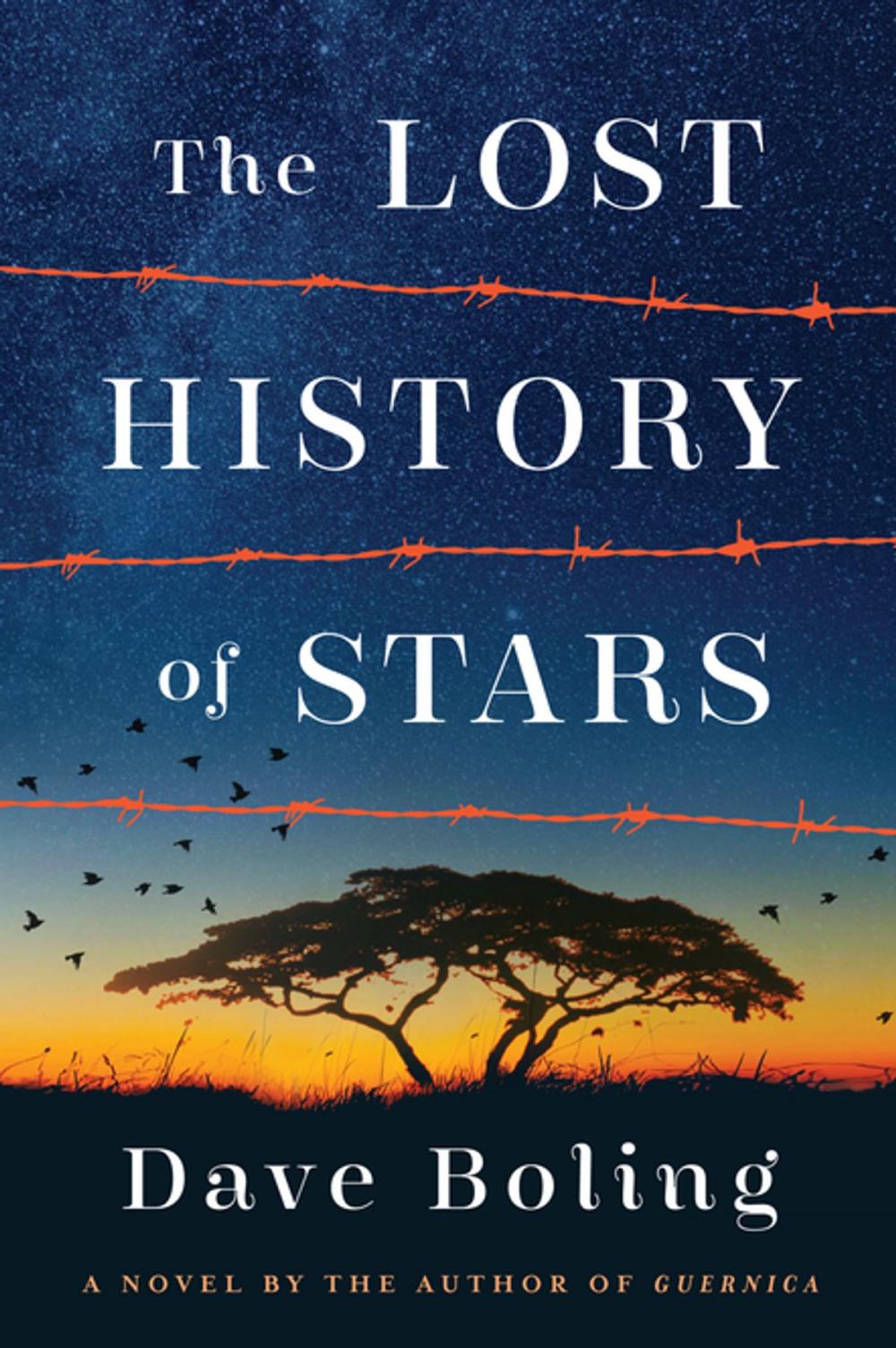 Big bigCover of The Lost History of Stars