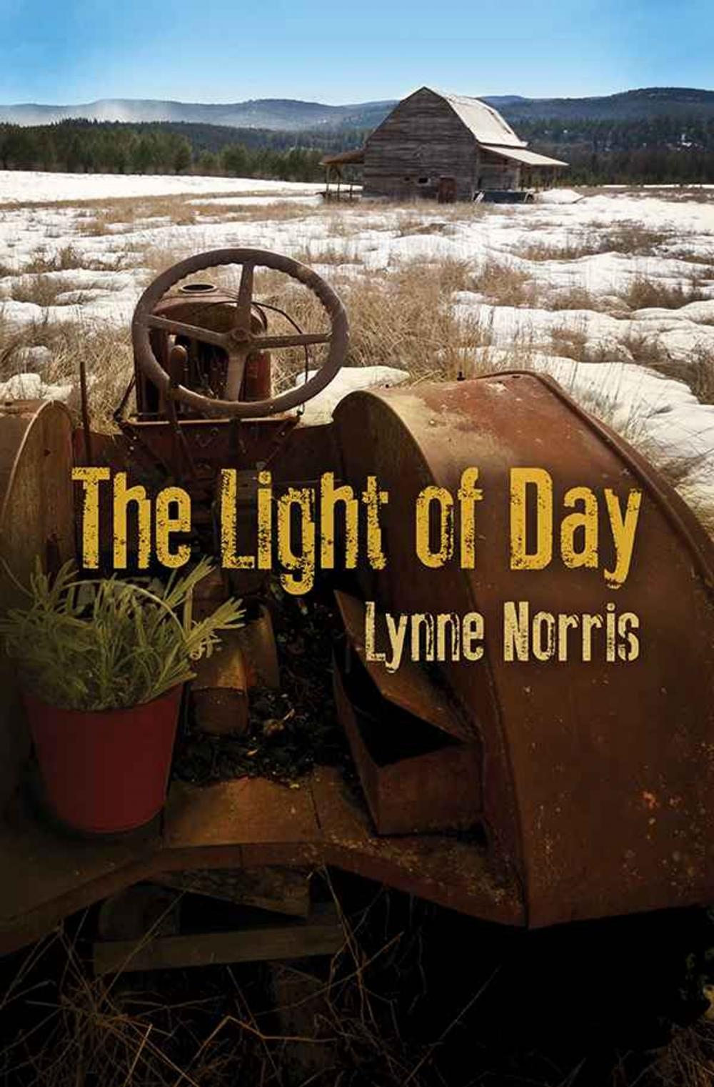 Big bigCover of The Light of Day