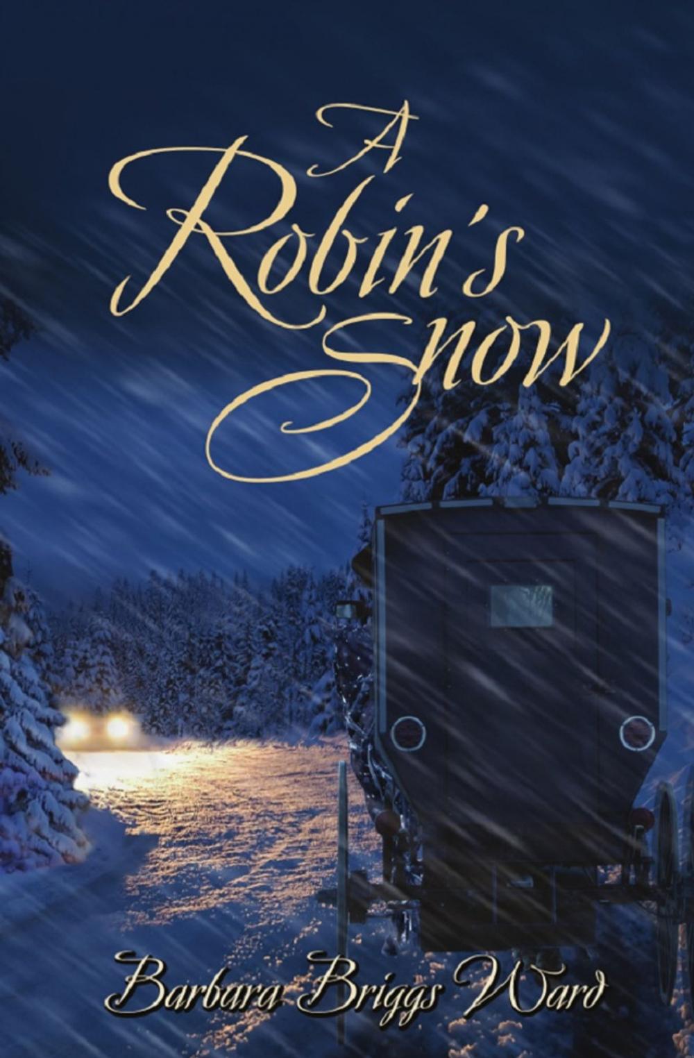 Big bigCover of A Robin's Snow