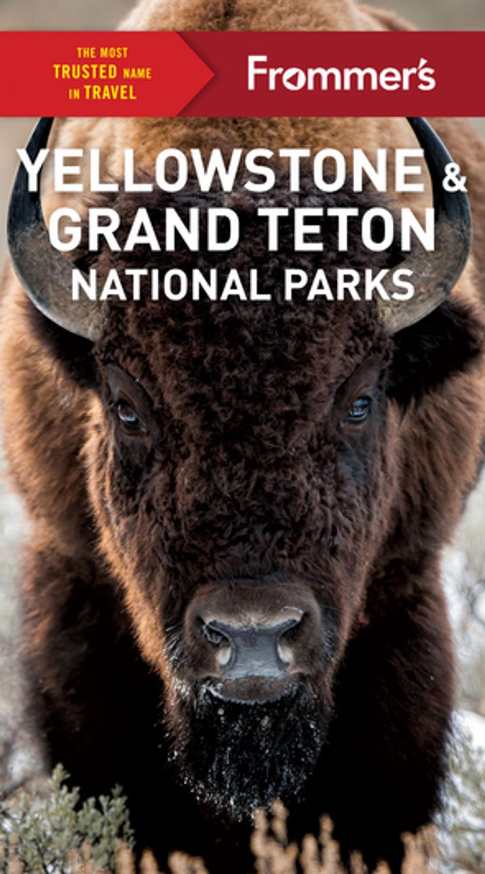 Big bigCover of Frommer's Yellowstone and Grand Teton National Parks