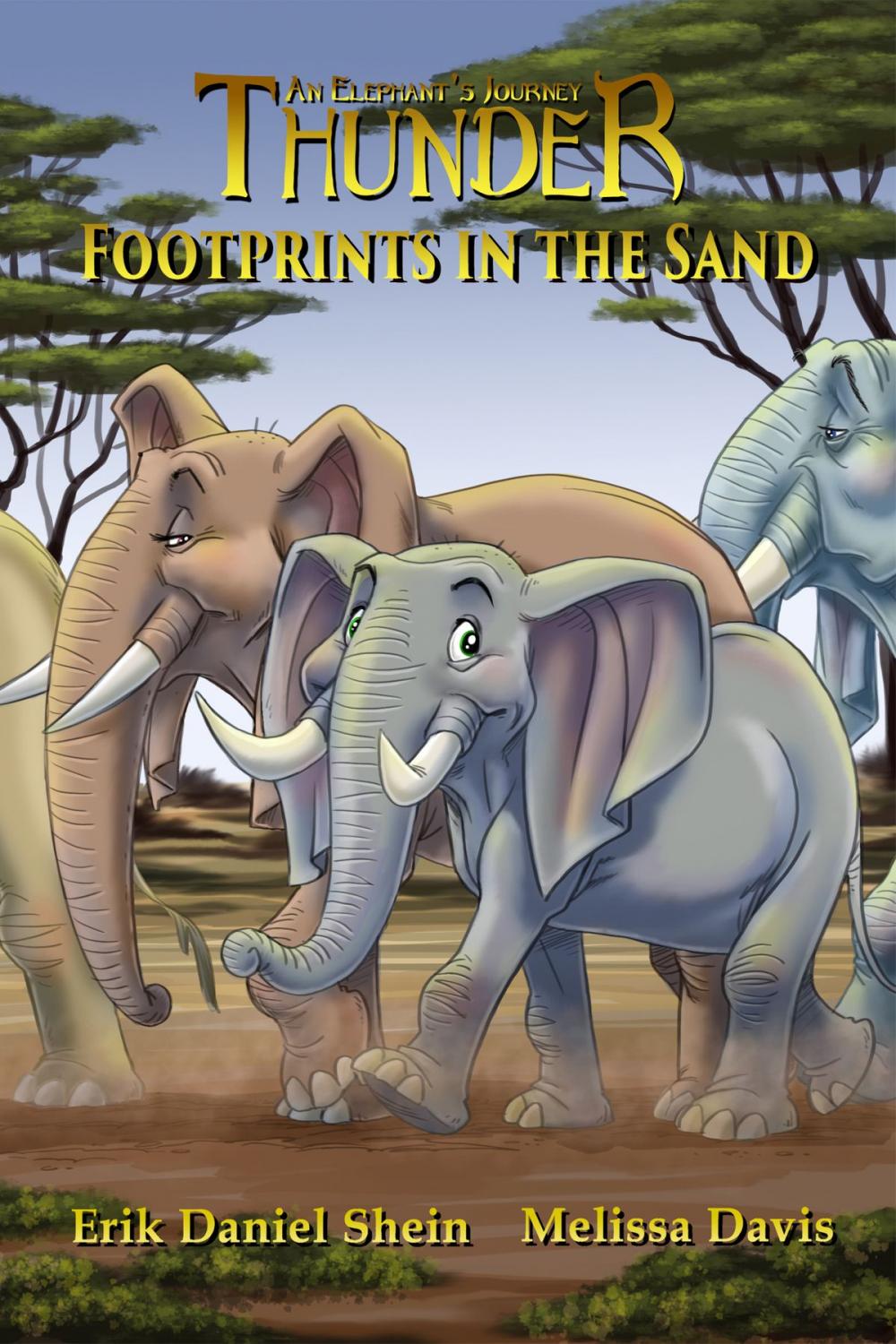 Big bigCover of Footprints in the Sand