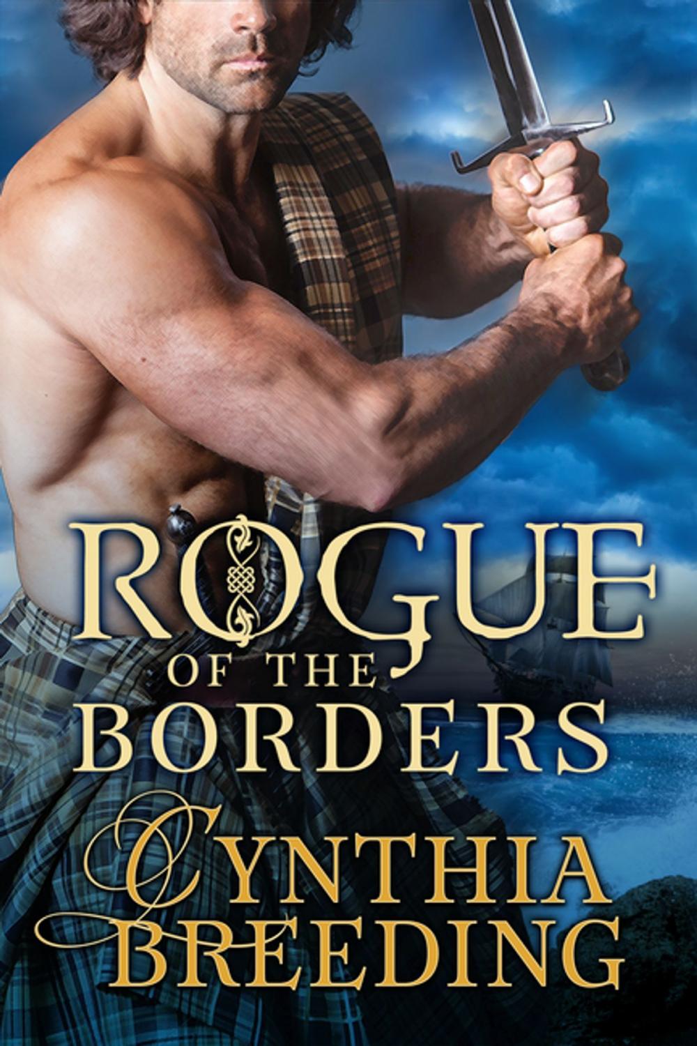 Big bigCover of Rogue of the Borders