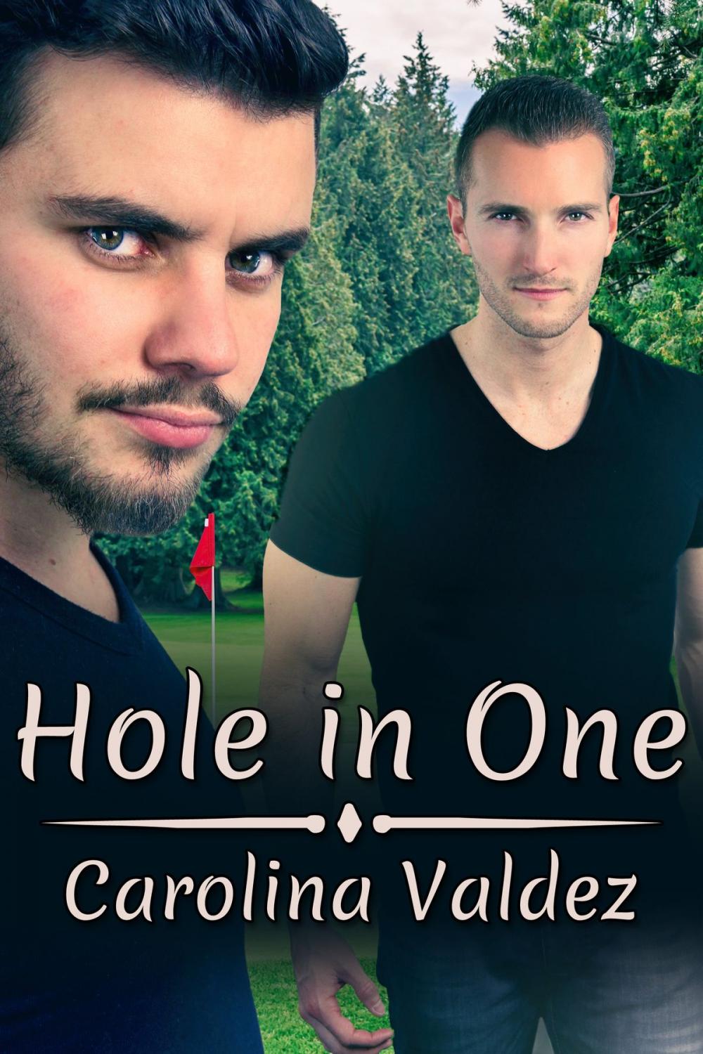 Big bigCover of Hole in One