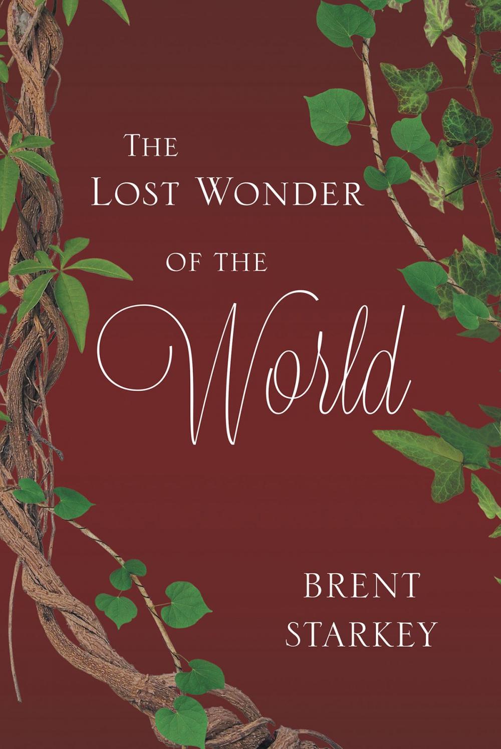 Big bigCover of The Lost Wonder of the World