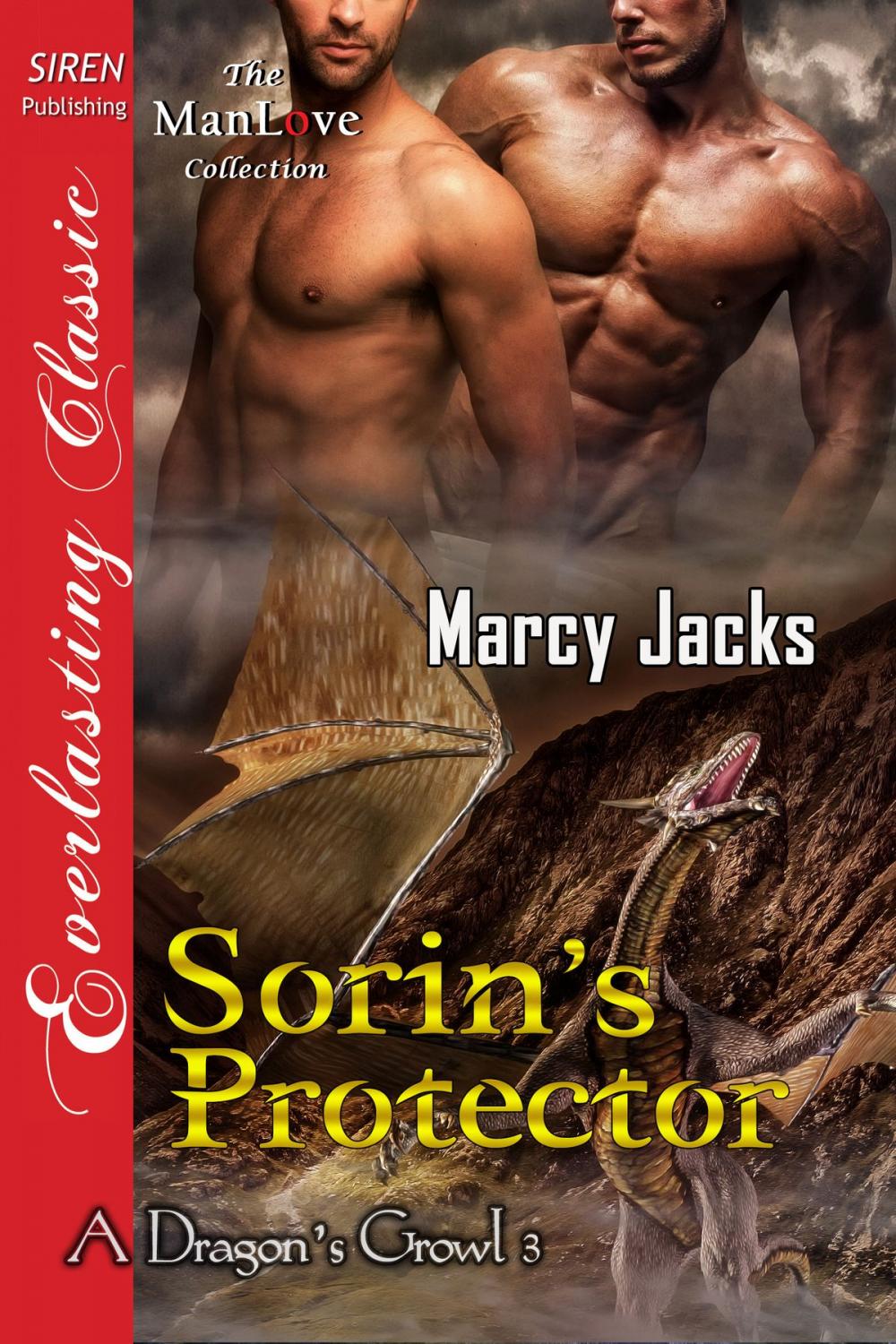 Big bigCover of Sorin's Protector