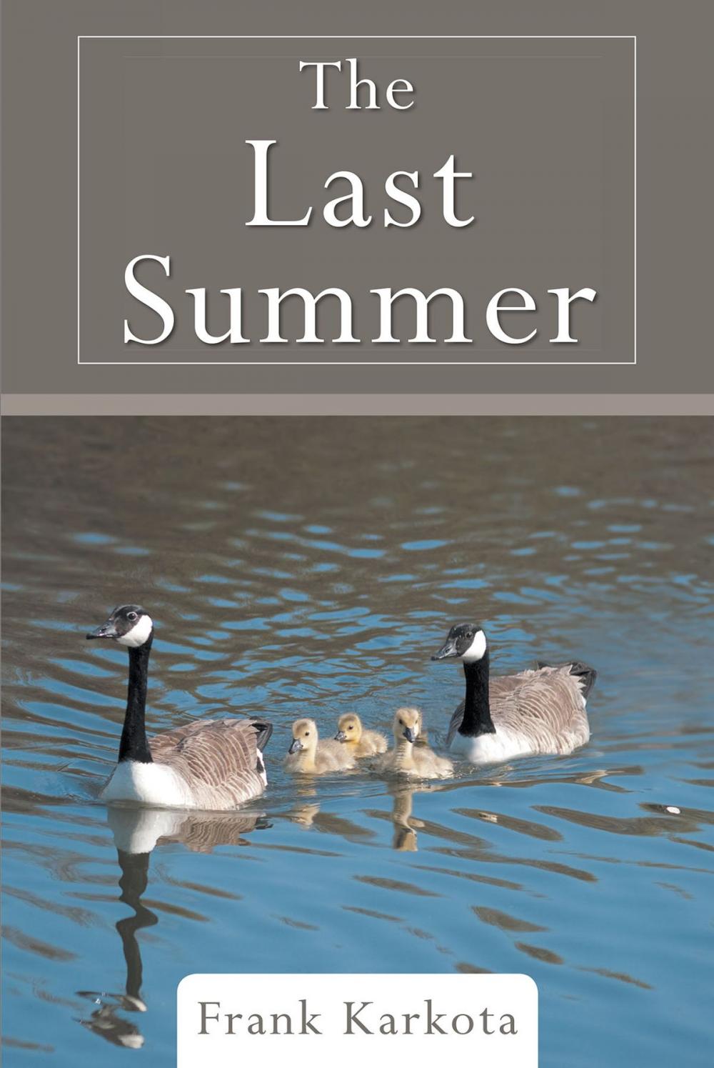 Big bigCover of The Last Summer