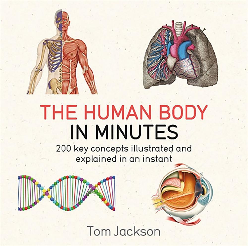 Big bigCover of The Human Body in Minutes