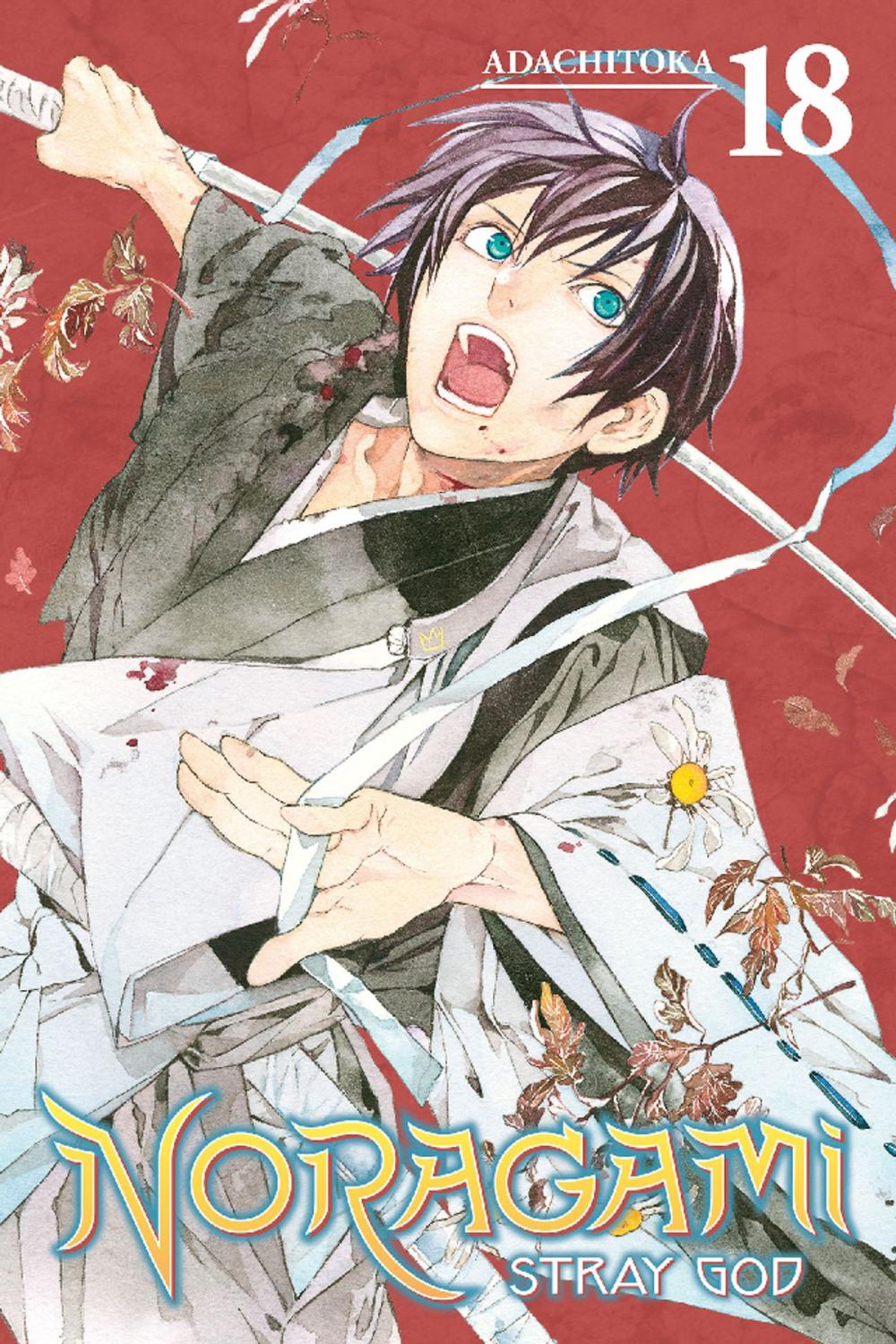 Big bigCover of Noragami: Stray God