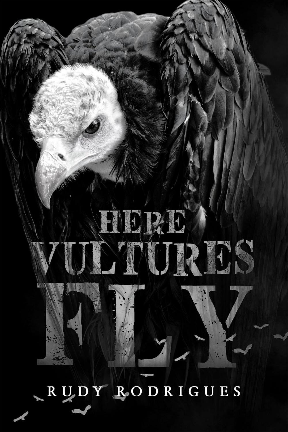 Big bigCover of Here Vultures Fly