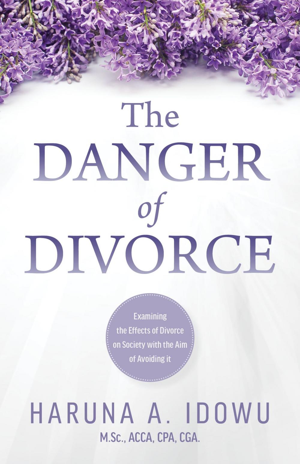 Big bigCover of The Danger of Divorce