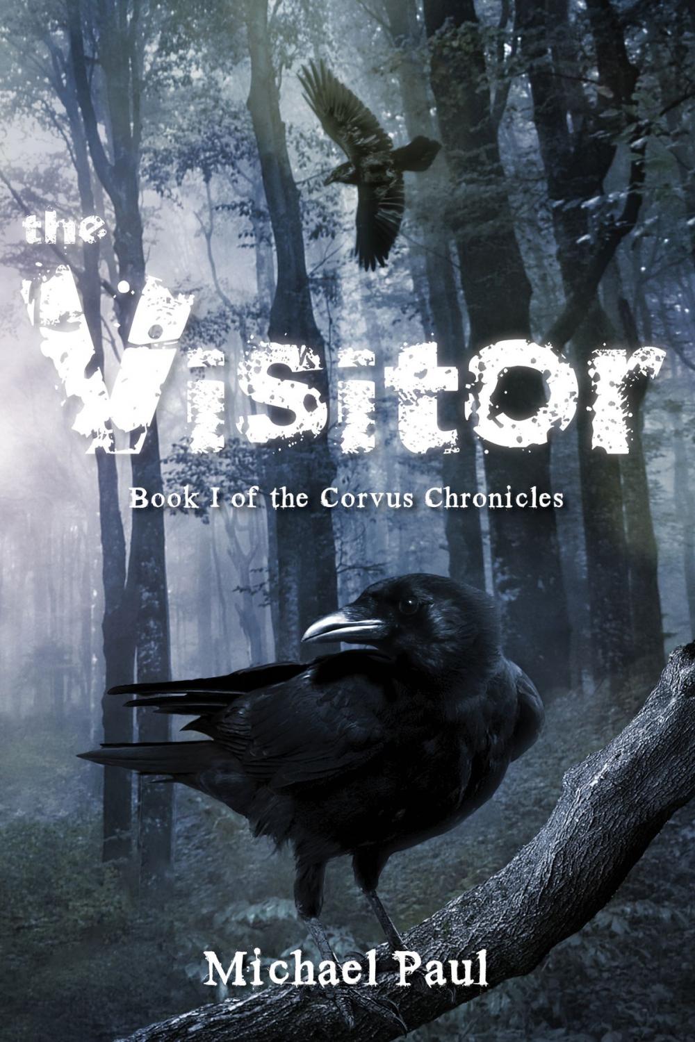 Big bigCover of The Visitor