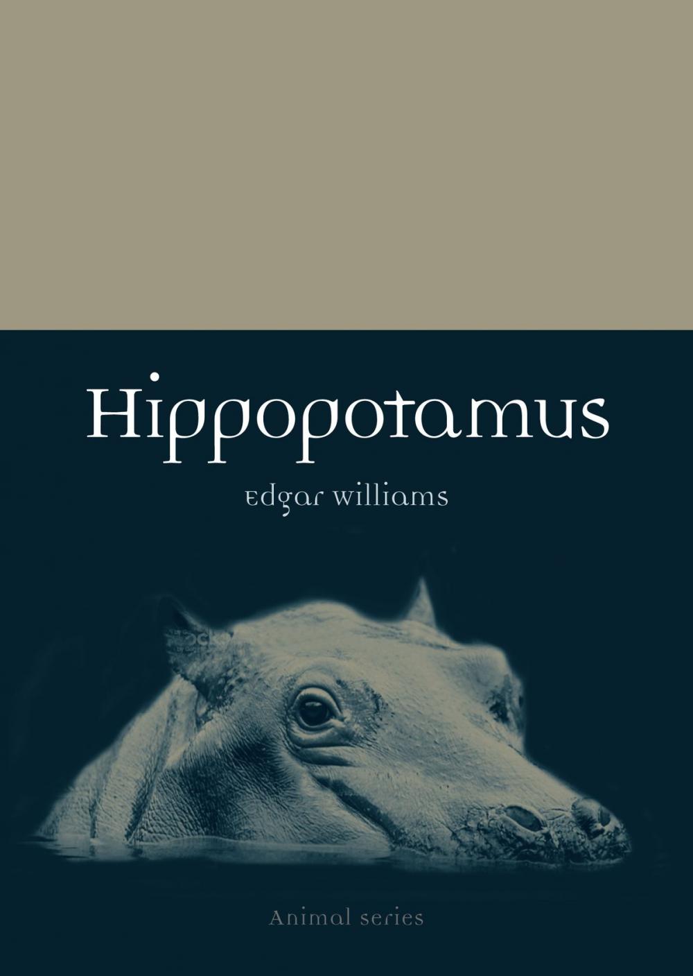 Big bigCover of Hippopotamus