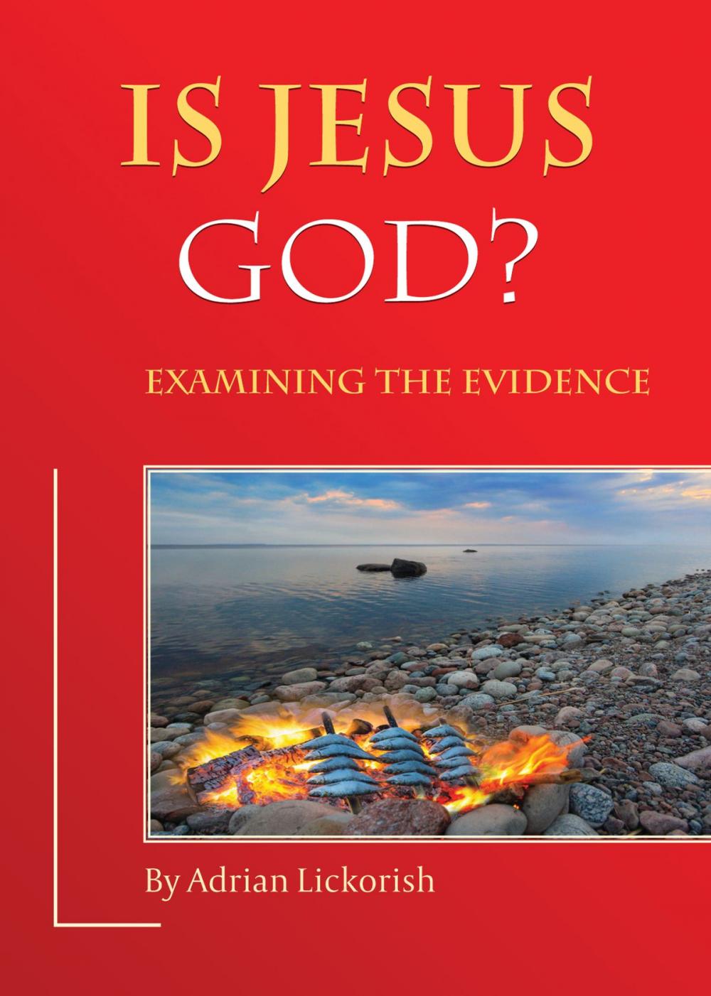 Big bigCover of Is Jesus God? Examining the Evidence