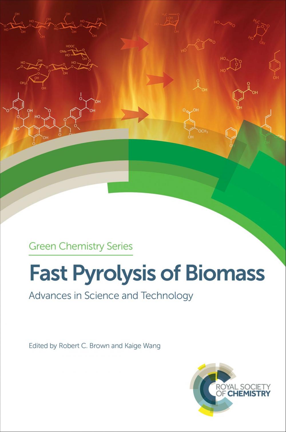 Big bigCover of Fast Pyrolysis of Biomass