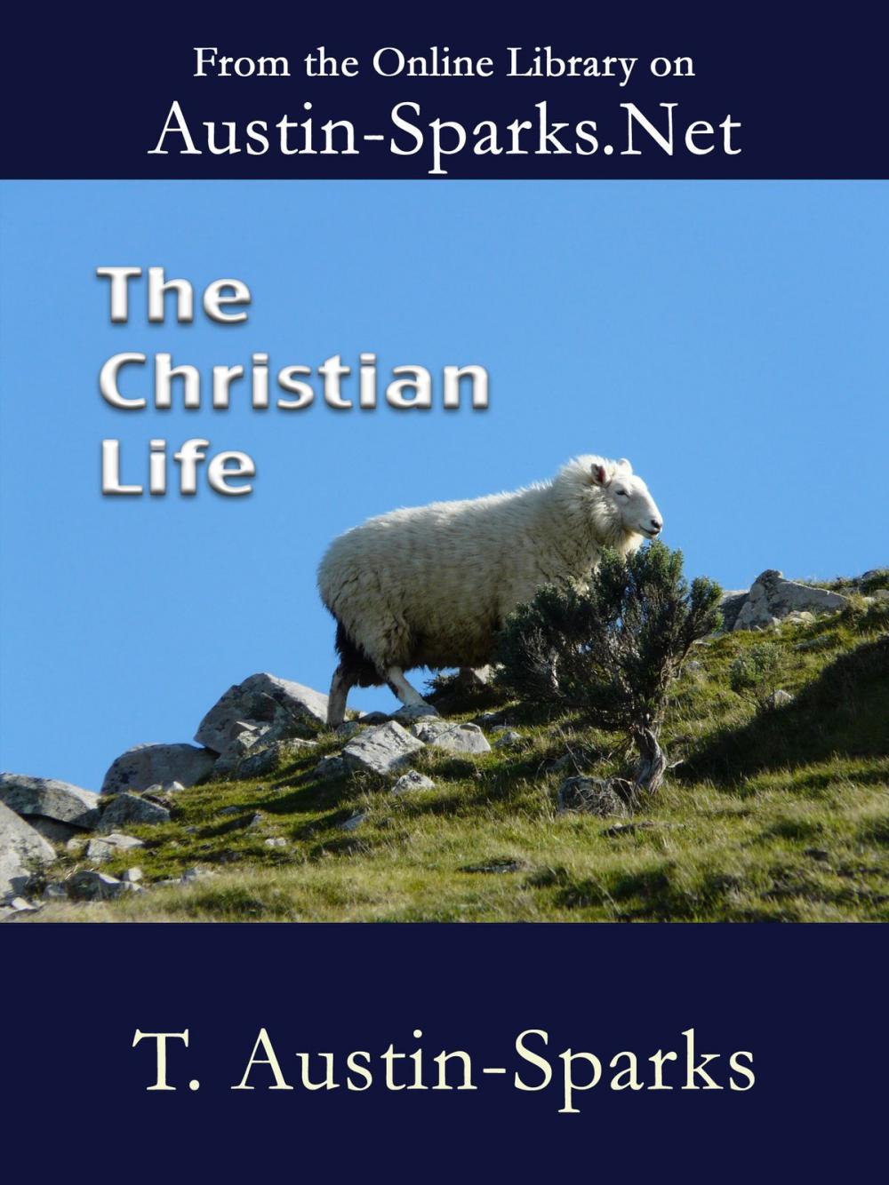 Big bigCover of The Christian Life