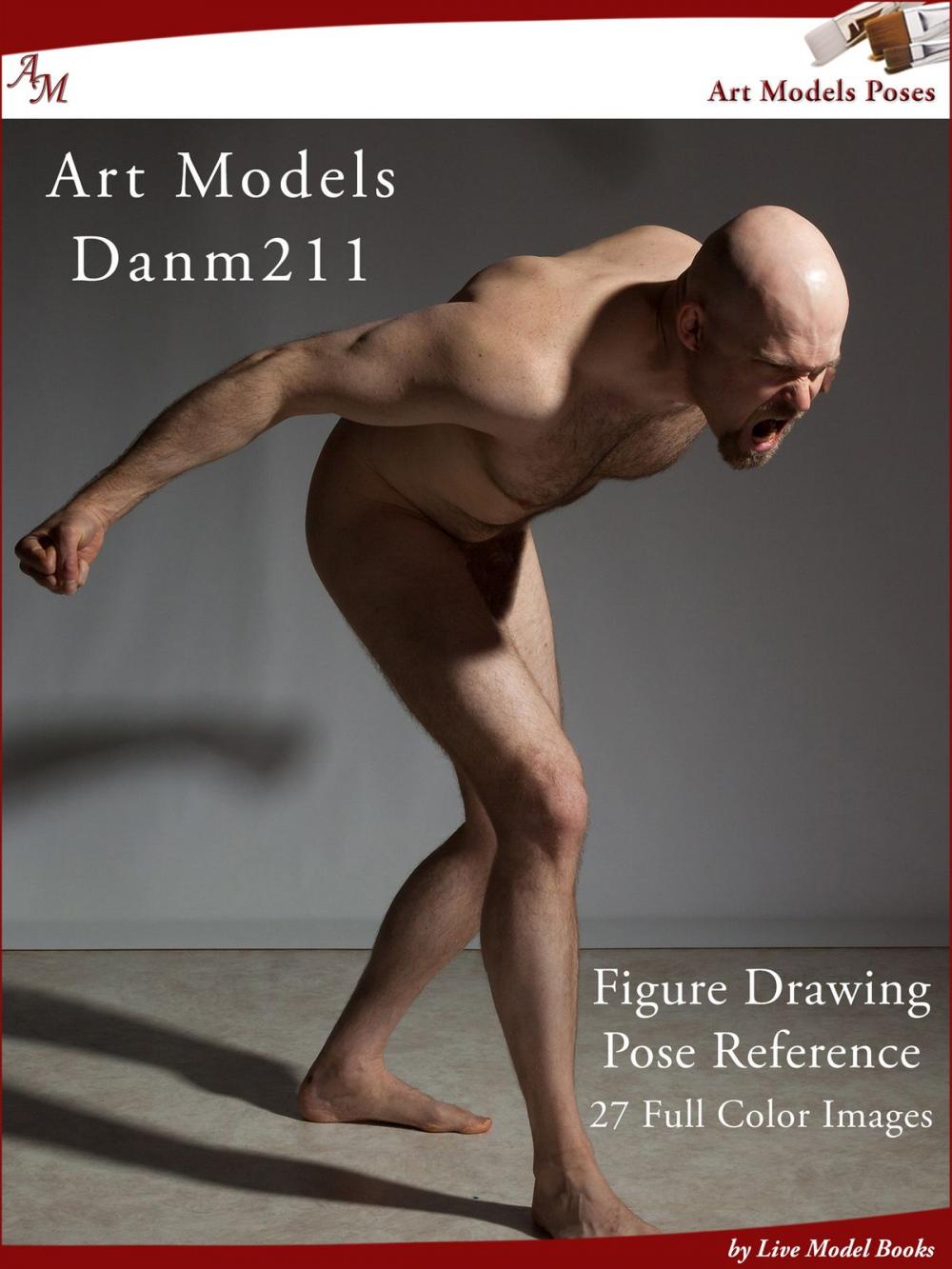 Big bigCover of Art Models DanM211