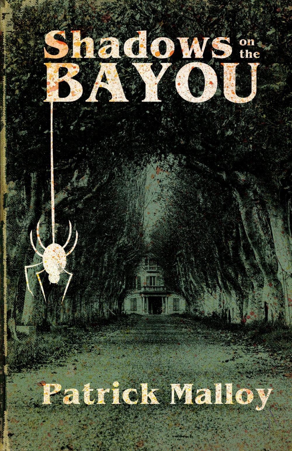 Big bigCover of Shadows on the Bayou