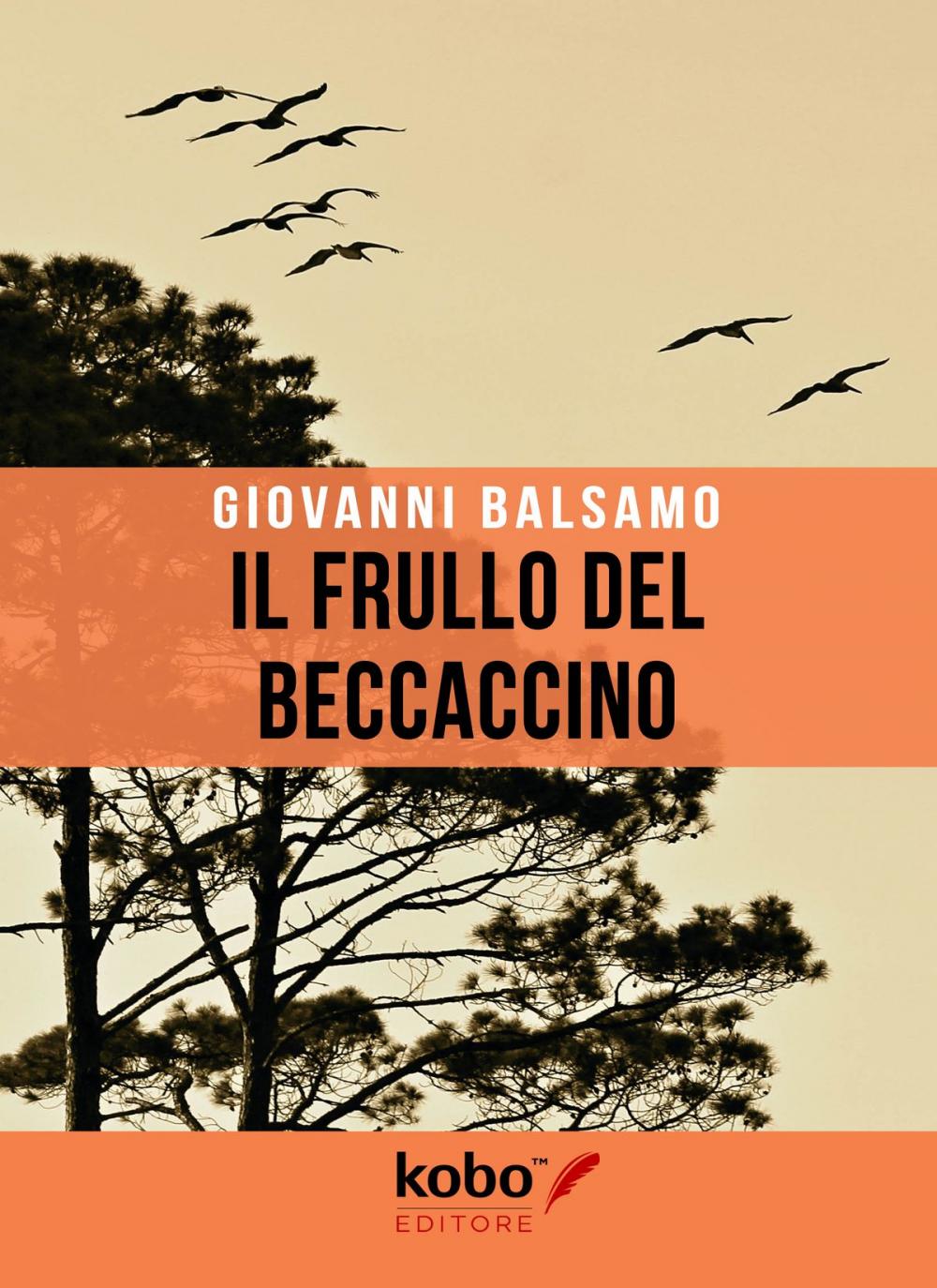 Big bigCover of Il Frullo del Beccaccino