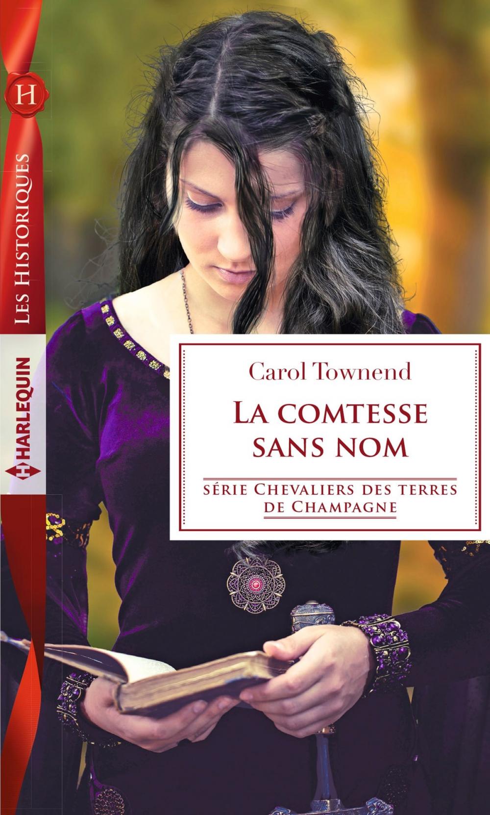 Big bigCover of La comtesse sans nom