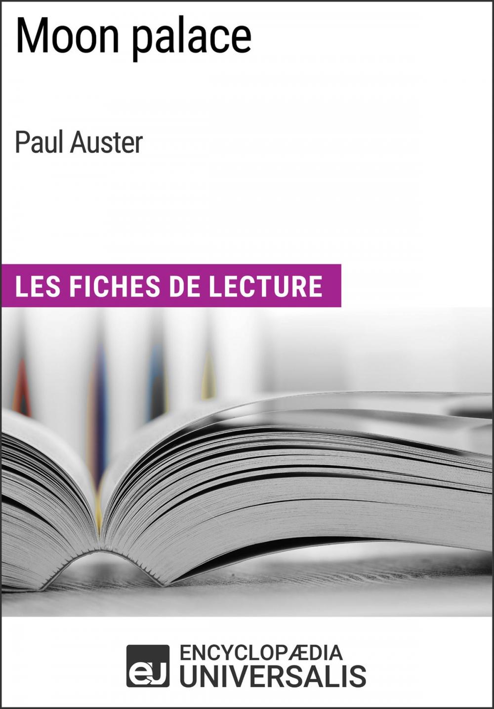 Big bigCover of Moon palace de Paul Auster