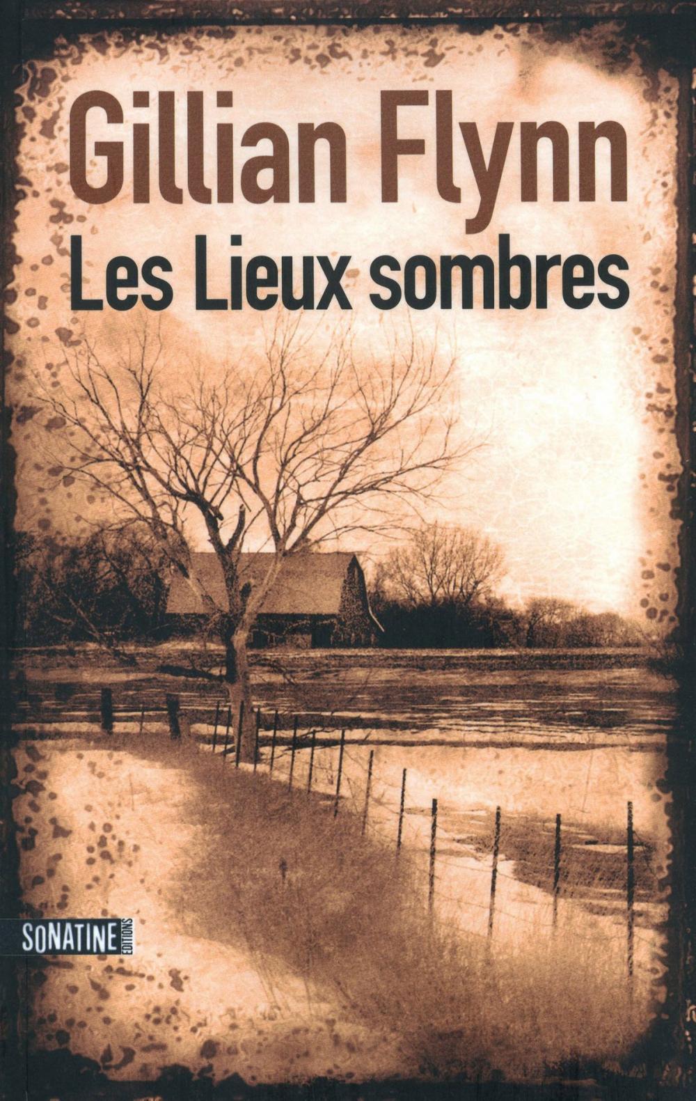 Big bigCover of Les Lieux sombres