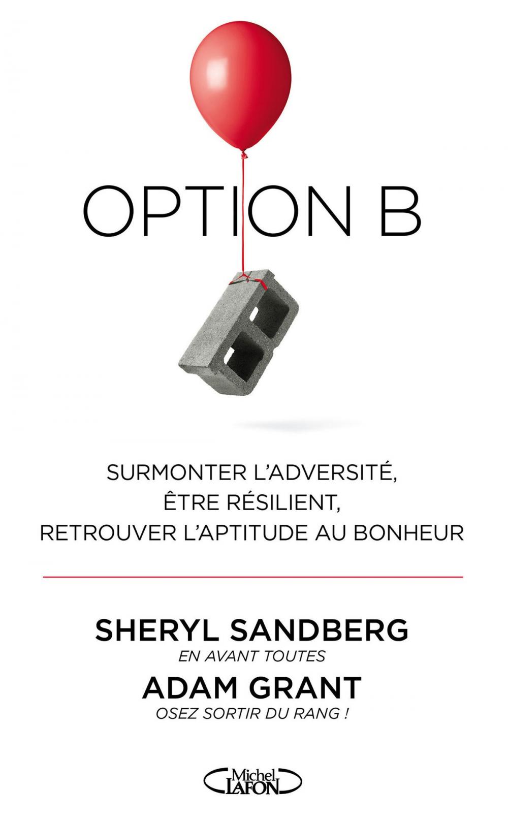 Big bigCover of Option B