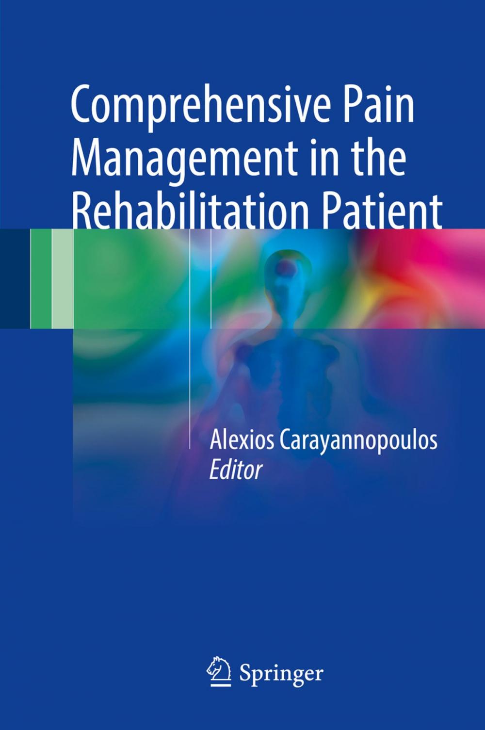 Big bigCover of Comprehensive Pain Management in the Rehabilitation Patient