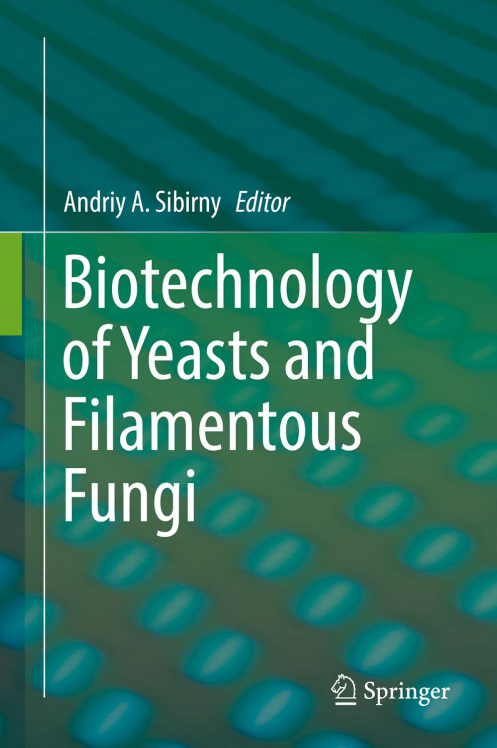 Big bigCover of Biotechnology of Yeasts and Filamentous Fungi