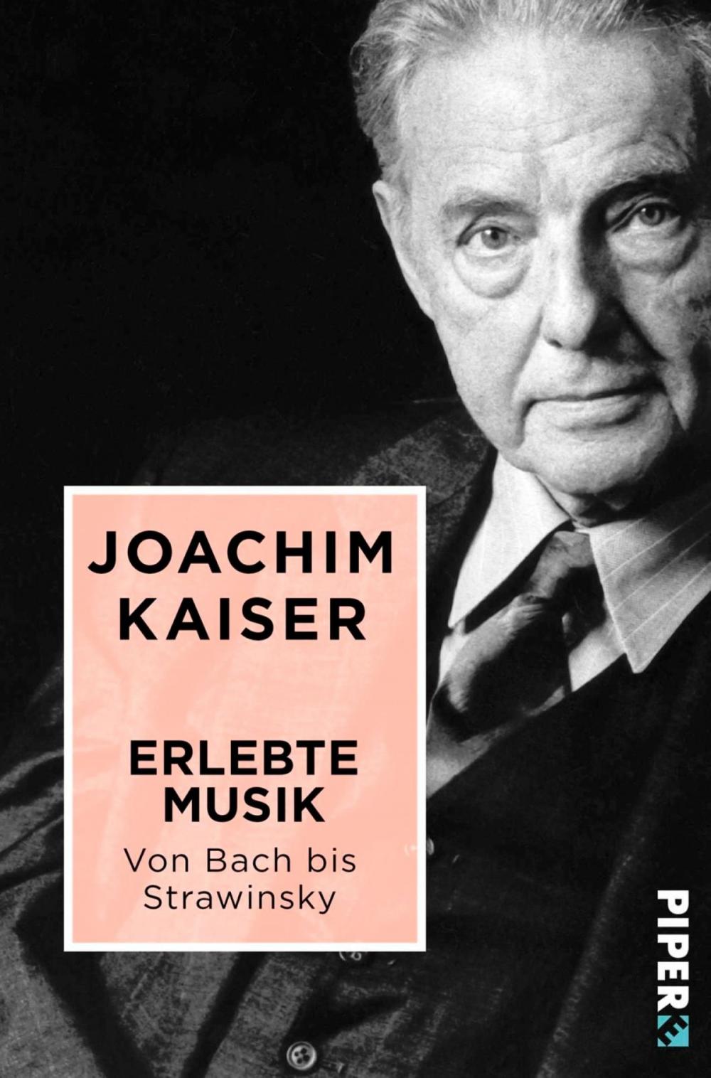 Big bigCover of Erlebte Musik. Von Bach bis Strawinsky