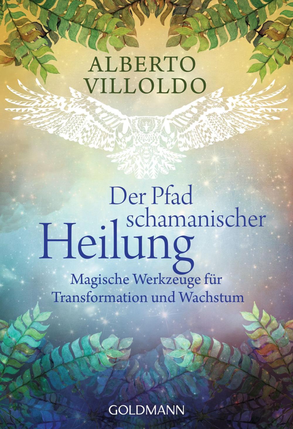 Big bigCover of Der Pfad schamanischer Heilung