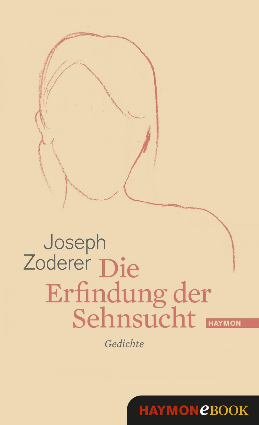 Big bigCover of Die Erfindung der Sehnsucht