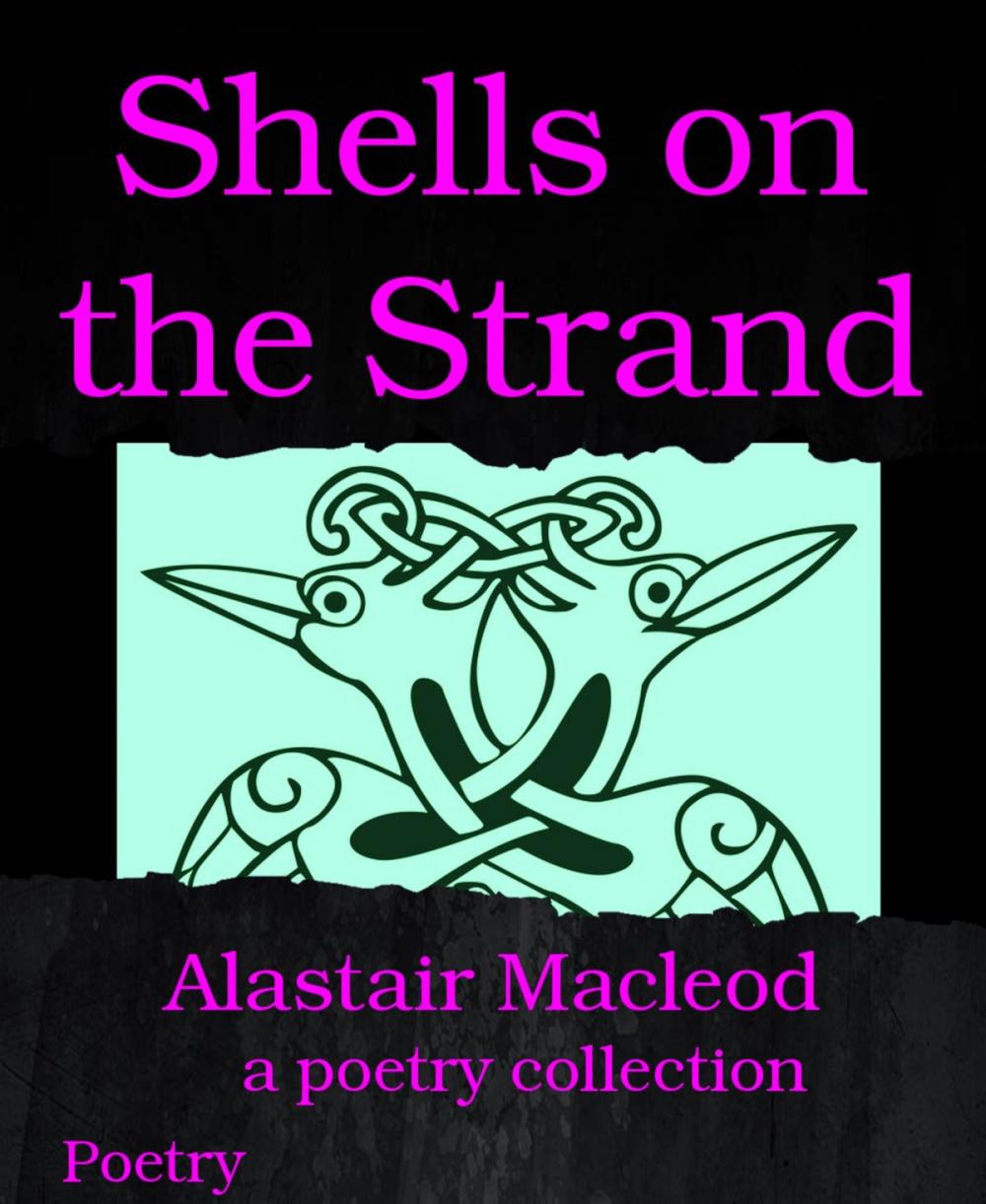 Big bigCover of Shells on the Strand